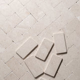 Sierra Limestone 3"x6" Tile by Castelli Marble