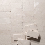 Sierra Limestone 3"x6" Tile by Castelli Marble