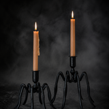 Cast Iron Spider Taper Candleholders - Set of 2