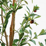 6' Artificial Olive Tree with Natural Trunk
