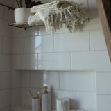 Blossom Scallop Container - White