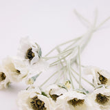 Lulu Poppy Branch - White