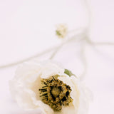 Lulu Poppy Branch - White