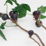 Marella Mission Fig Branch - 27"