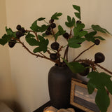 Marella Mission Fig Branch - 27"