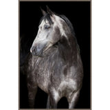 Silver Wall Art