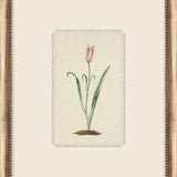 Petite Floral Wall Art - 9 Styles
