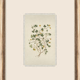 Petite Floral Wall Art - 9 Styles
