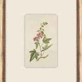 Petite Floral Wall Art - 9 Styles