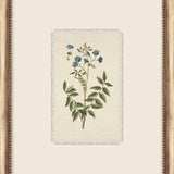 Petite Floral Wall Art - 9 Styles