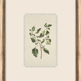 Petite Floral Wall Art - 9 Styles