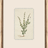 Petite Floral Wall Art - 9 Styles