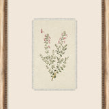 Petite Floral Wall Art - 9 Styles