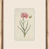 Petite Floral Wall Art - 9 Styles