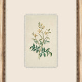 Petite Floral Wall Art - 9 Styles