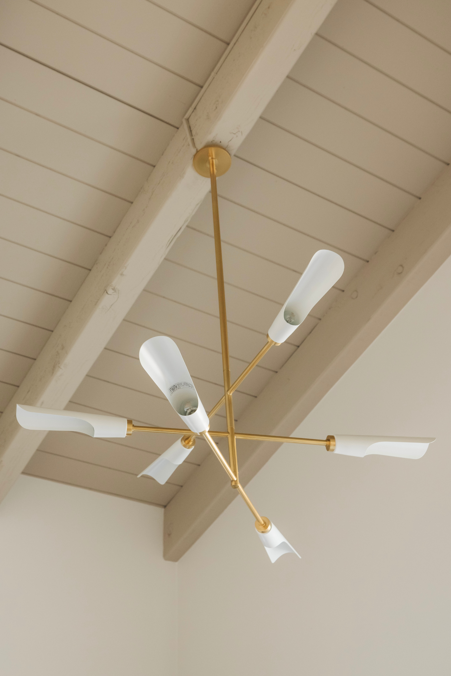 Harper Rose Chandelier