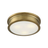 Watkins Ceiling Light