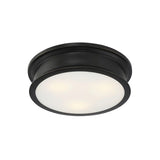 Watkins Ceiling Light