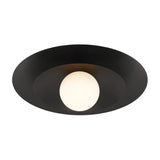 Sherrer Ceiling Light