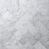 Venatino Carrara 3"x6" Tile by Castelli Marble