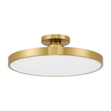 Thayer LED Ceiling Light