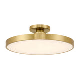 Thayer LED Ceiling Light