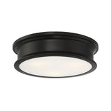 Watkins Ceiling Light