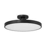 Thayer LED Ceiling Light