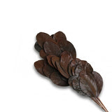 Katal Leaves Bundle