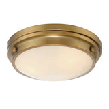 Lucerne Ceiling Light