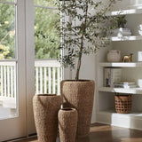 Mirabel Vase - Set of 3