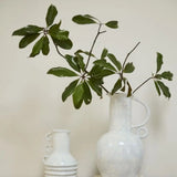 Paria Vase