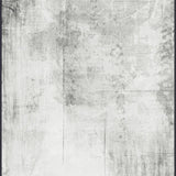 Behind the Veil Wall Art