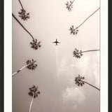 Flight Above Wall Art
