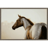 Equestrian Gaze Wall Art