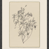 Calm Sprout Wall Art - 6 Styles