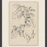 Calm Sprout Wall Art - 6 Styles