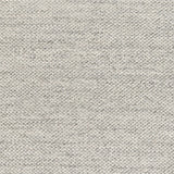 Palmino Rug